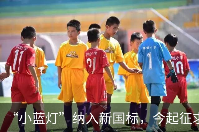 “小蓝灯”纳入新国标，今起征求意见！L3级以下车辆禁止安装，禁止显示文字和人脸图案，禁止使用手势和语音控制车灯……