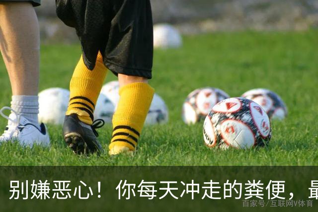 别嫌恶心！你每天冲走的粪便，最后竟全藏进城市这些秘密角落里！