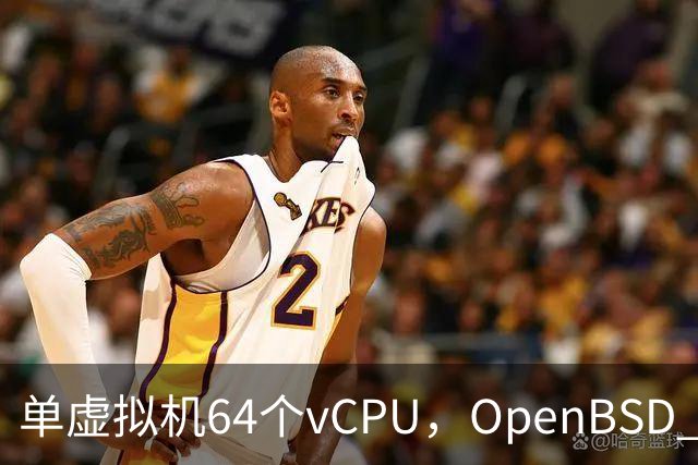 单虚拟机64个vCPU，OpenBSD 8.0把虚拟化拉满了