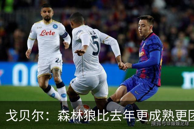 戈贝尔：森林狼比去年更成熟更团结 希望到五六月能应对任何挑战