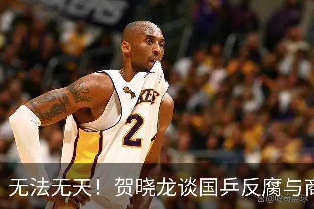 无法无天！贺晓龙谈国乒反腐与商务：内涵莎莎不能参加线下活动