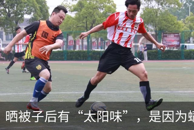 晒被子后有“太阳味”，是因为螨虫被烤焦了？科学家：太阳的功劳