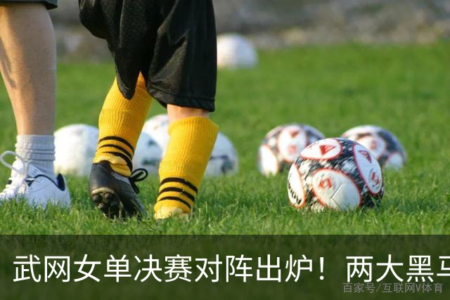 武网女单决赛对阵出炉！两大黑马争冠，世排170位连胜5场实现逆袭