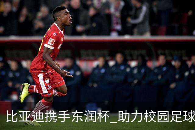比亚迪携手东润杯 助力校园足球少年圆梦工体