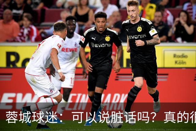 蓉城球迷：可以说脏话吗？真的很丢脸，主教练必须下课
