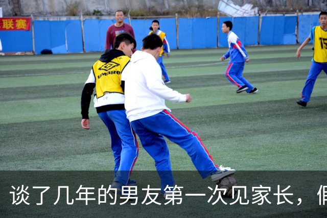 谈了几年的男友第一次见家长，假装和猫不熟，猫猫奇怪：你今天怎么和平时不一样？