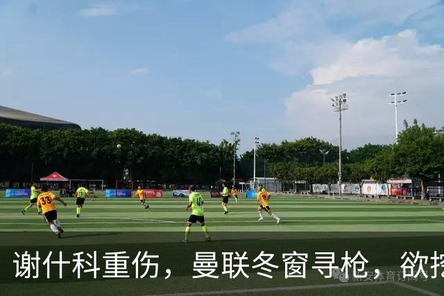 谢什科重伤，曼联冬窗寻枪，欲挖死敌当家射手，难度之大远超预期