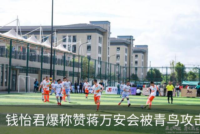 钱怡君爆称赞蒋万安会被青鸟攻击，沈富雄：一定要把沈伯洋从神坛拉下来