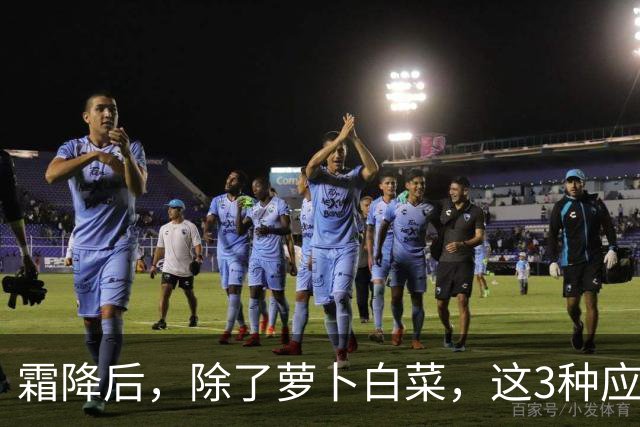 霜降后，除了萝卜白菜，这3种应季蔬菜要多吃，鲜嫩营养，润燥养人，好吃还不贵！