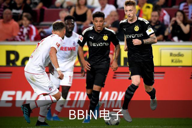 BBIN电子平台介绍展示图